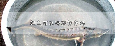 ​鲟可以放冷藏吗 鲟可以放冰箱冷冻吗