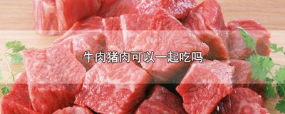 ​猪肉牛肉能一起吃吗 牛肉可以和猪肉一起吃吗