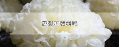 ​超市卖的鲜银耳有毒吗 市面上的鲜银耳有毒吗