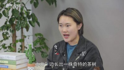 ​白芽奇兰茶的功效与作用 高山白芽奇兰是什么茶