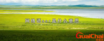 ​网络语ssr的意思是什么？网络语ssr是什么梗？
