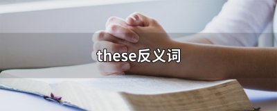 ​these反义词