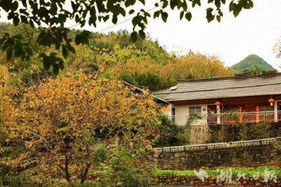 ​鹤峰新庄秋色斑斓