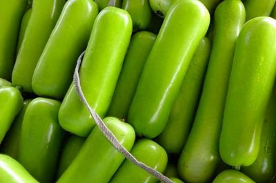 ​瓠瓜怎么读？瓠瓜的读音和意思！