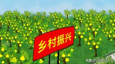 ​乡村振兴如何促进农村发展的5个建议