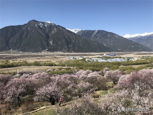西藏自治区 林芝市 嘎拉桃花村《三生三世十里桃花》取景地