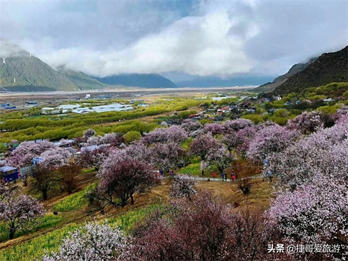 西藏自治区 林芝市 嘎拉桃花村《三生三世十里桃花》取景地