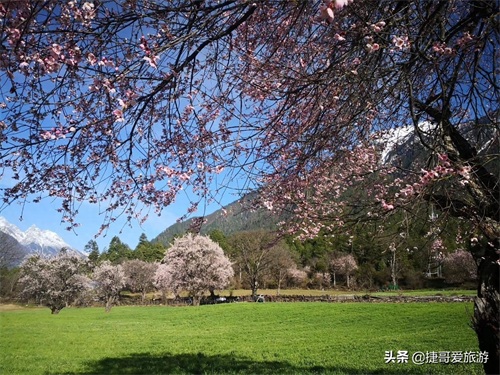 西藏自治区 林芝市 嘎拉桃花村《三生三世十里桃花》取景地