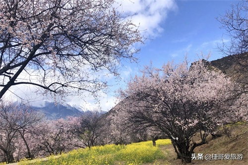 西藏自治区 林芝市 嘎拉桃花村《三生三世十里桃花》取景地