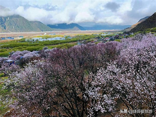 西藏自治区 林芝市 嘎拉桃花村《三生三世十里桃花》取景地