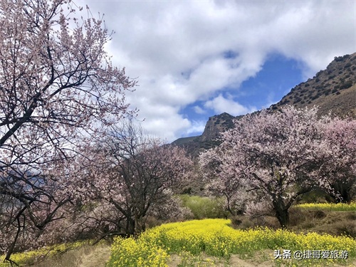 西藏自治区 林芝市 嘎拉桃花村《三生三世十里桃花》取景地