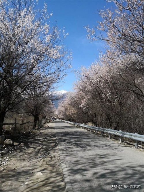 西藏自治区 林芝市 嘎拉桃花村《三生三世十里桃花》取景地