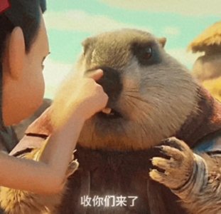 ​台湾跟香港和澳门完全不同，是一个省而不是特别行政区