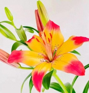 ​解析＂活在当下，珍惜眼前″的十＂金句″，领悟了，你一定活得自在