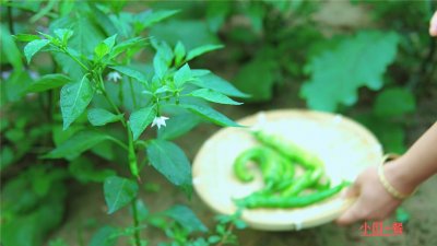 ​河南特色美食，辣椒炒面，味道鲜香微辣炒面金黄焦酥可口好吃