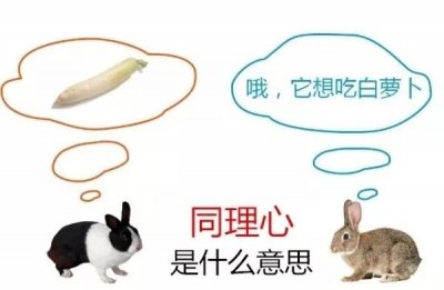 ​同理心是什么