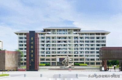 ​广州航海学院2024年在河南省分专业录取分数