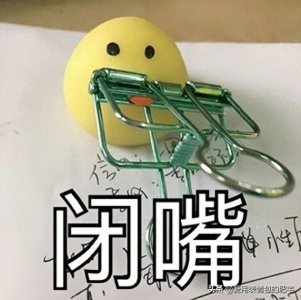 ​表情包：好了，我闭嘴