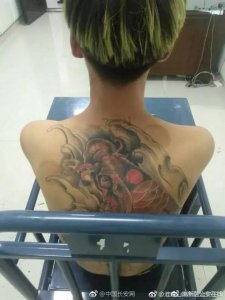 ​背纹鲤鱼想“跳龙门”却跳进牢房 网友：漏网之鱼