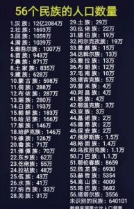 ​中国各民族人口排名