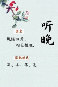 ​姓氏百搭的公主名，古典优雅有诗意