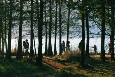 ​你总要学会一个人成长