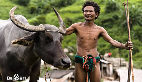 矮黑人是黑人吗 矮黑人是什么人种