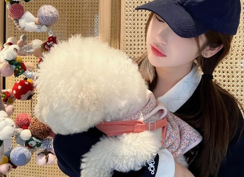 mbti挽歌组为什么叫挽歌组